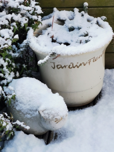 bruxelles,neige,9 janvier 2025,cérémonie d'hommage à martigny,suisse,nature