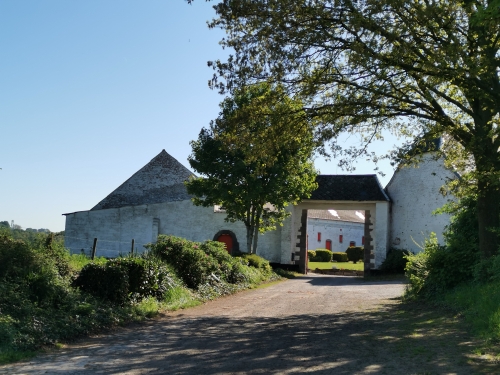 premier mai,promenade,monstreux,brabant wallon,colza,bois,ail des ours,lumière,jacinthes,arbres,printemps,renaissance,nature