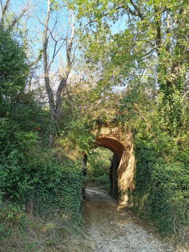 septembre,drôme provençale,nyons,venterol,balades,nature