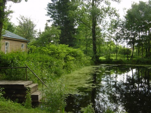 Tchekhov L'étang de Melikhovo.JPG