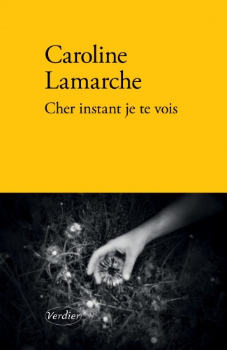 caroline lamarche,cher instant je te vois,récit,poème,littérature française de belgique,écrivaine belge,amitié,cancer,margarida guia,deuil,culture