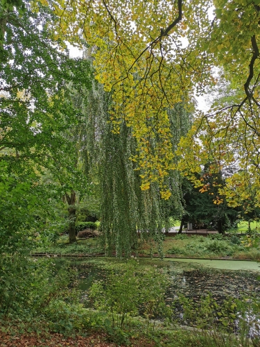 octobre,parc josaphat,schaerbeek,promenade,choses vues