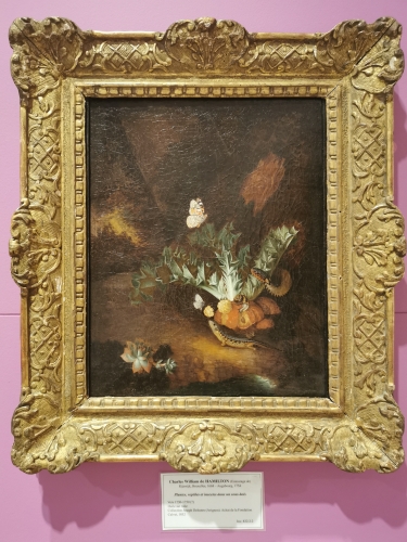 avignon,musée calvet,peinture,sculpture,culture