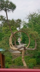 amélie nothomb,le livre des soeurs,l'impossible retour,roman,littérature française,famille,mots,japon,voyage,culture,couleur,extrait