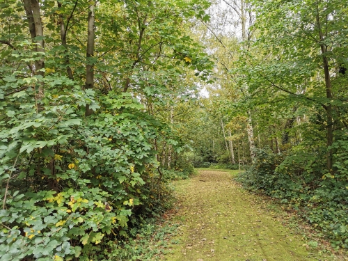 parc walckiers,schaerbeek,promenade verte,environnement,balade,nature,moeraske,automne