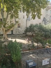 Avignon,promenade,buplèvre buissonnant,cour,déco,photos