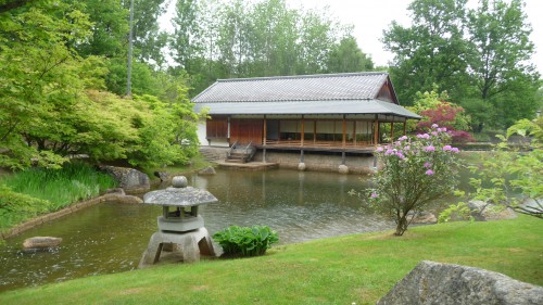 jardin japonais,hasselt,promenade,art,jardin,japon,paysage,arbres,eau,koï,culture