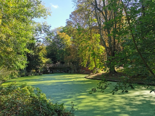 automne,parc josaphat,promenade,dimanche,arbres,couleurs