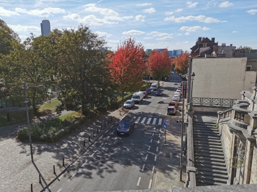 automne,parc josaphat,promenade,dimanche,arbres,couleurs
