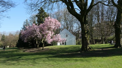 parc josaphat,schaerbeek,promenade,magnolias,printemps
