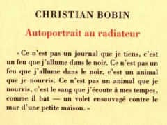 bobin,autoportrait au radiateur,journal,littérature française,deuil,lumière,fleurs,joie,écrire,culture