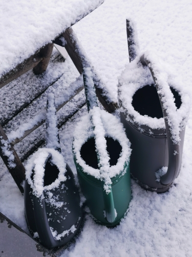 bruxelles,neige,9 janvier 2025,cérémonie d'hommage à martigny,suisse,nature