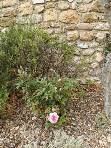 septembre,drôme provençale,nyons,venterol,balades,nature