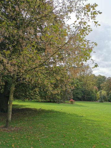 octobre,parc josaphat,schaerbeek,promenade,choses vues