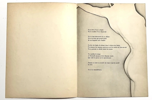 album,la pléiade,eluard,iconographie commentée,biographie,documents,photos,littérature française,surréalisme,communisme,poésie,amour,culture