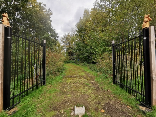 parc walckiers,schaerbeek,promenade verte,environnement,balade,nature,moeraske,automne
