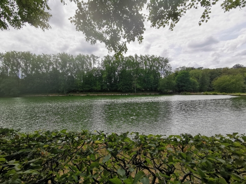 rouge-cloître,auderghem,abbaye,étangs,forêt de soignes,art,culture