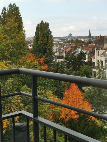 automne,parc josaphat,promenade,dimanche,arbres,couleurs