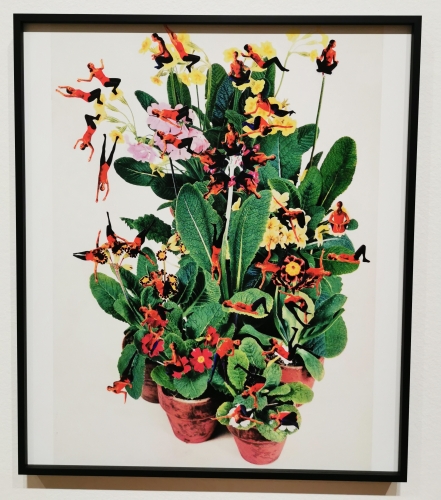 picture perfect,exposition,bozar,bruxelles,photographie,vidéo,beauté,stéréotypes,oppression,créativité,corps,âge,xxe,xxie,corps féminin,corps masculinculture