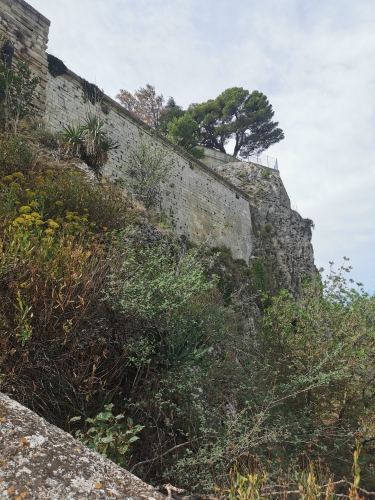 avignon,othoniel,rocher des doms,place du palais des papes,place de l'horloge,chapelle des pénitents noirs,balade,culture