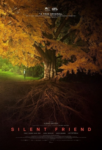 ildiko enyedi,silent friend,film,cinéma,ginkgo biloba,université de marbourg,allemagne,neurobiologie,botanique,contemplation,communication,sensibilité,enseignement,culture