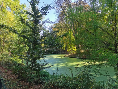 automne,parc josaphat,promenade,dimanche,arbres,couleurs