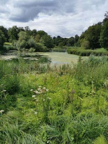 rouge-cloître,auderghem,abbaye,étangs,forêt de soignes,art,culture