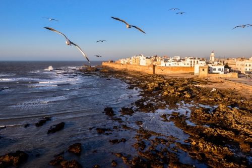 Slimani Essaouira_Atlantic.jpg