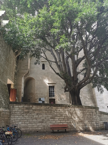 avignon,othoniel,rocher des doms,place du palais des papes,place de l'horloge,chapelle des pénitents noirs,balade,culture
