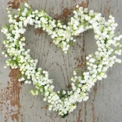 aki shimazaki,suzuran,roman,littérature française,japon,muguet,famille,amour,culture,extrait