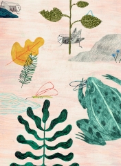 thierry cazals,julie van wezemael,des haïkus plein les poches,essai,atelier d'écriture,haïku,illustrations,japon,culture