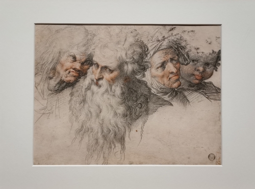 bellezza e bruttezza,l'idéal,le réel et le caricatural à la renaissance,exposition,bozar,bruxelles,peinture,sculpture,italie,nord,culture