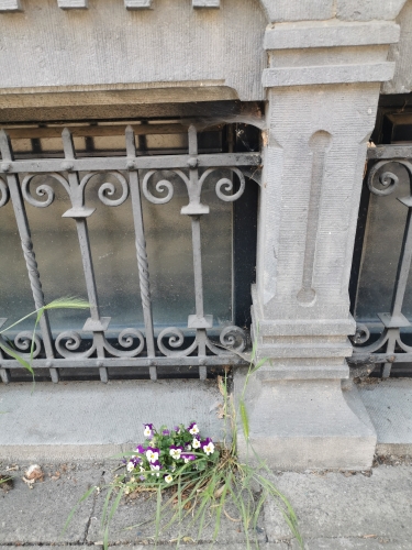 Pensées discrètes.jpg
