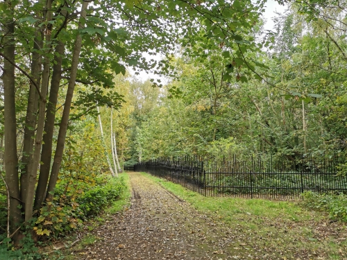 parc walckiers,schaerbeek,promenade verte,environnement,balade,nature,moeraske,automne