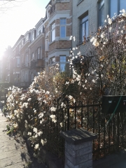 2026,lumière,nouvel an,voeux